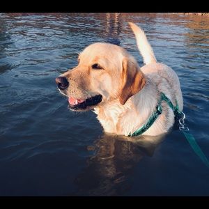 Meet your Posher, Joanne